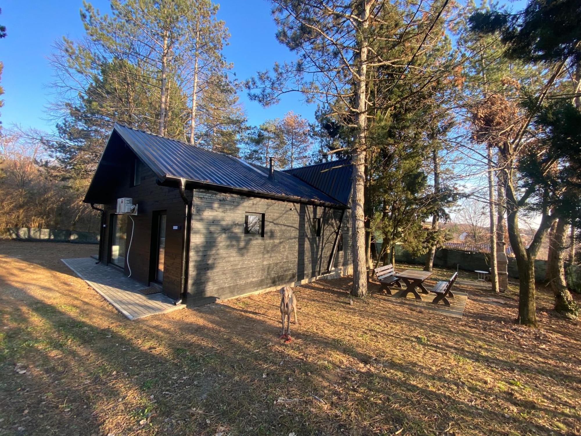 Vila Kuca Za Odmor Vrdnik Exteriér fotografie