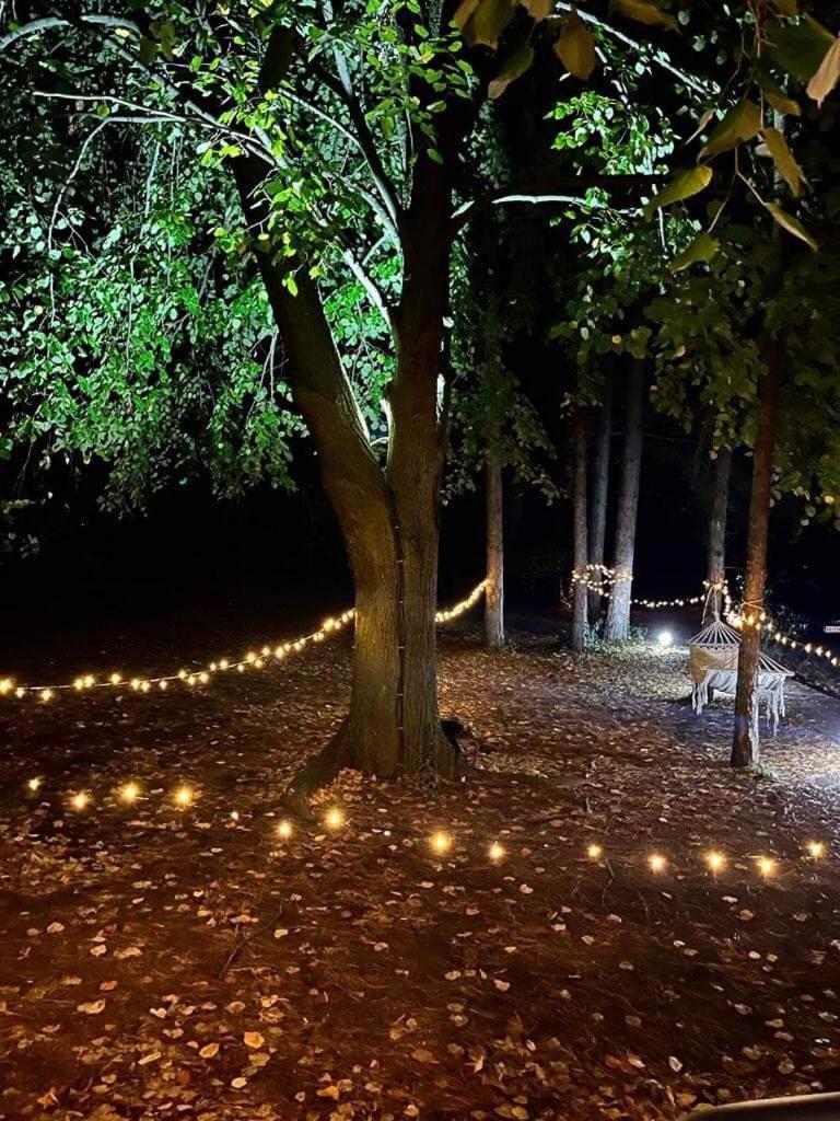 Vila Kuca Za Odmor Vrdnik Exteriér fotografie
