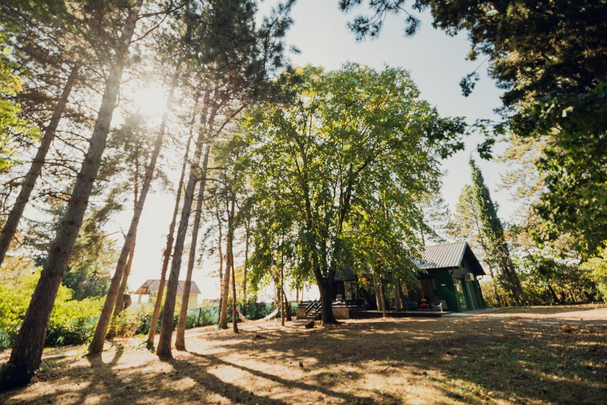Vila Kuca Za Odmor Vrdnik Exteriér fotografie