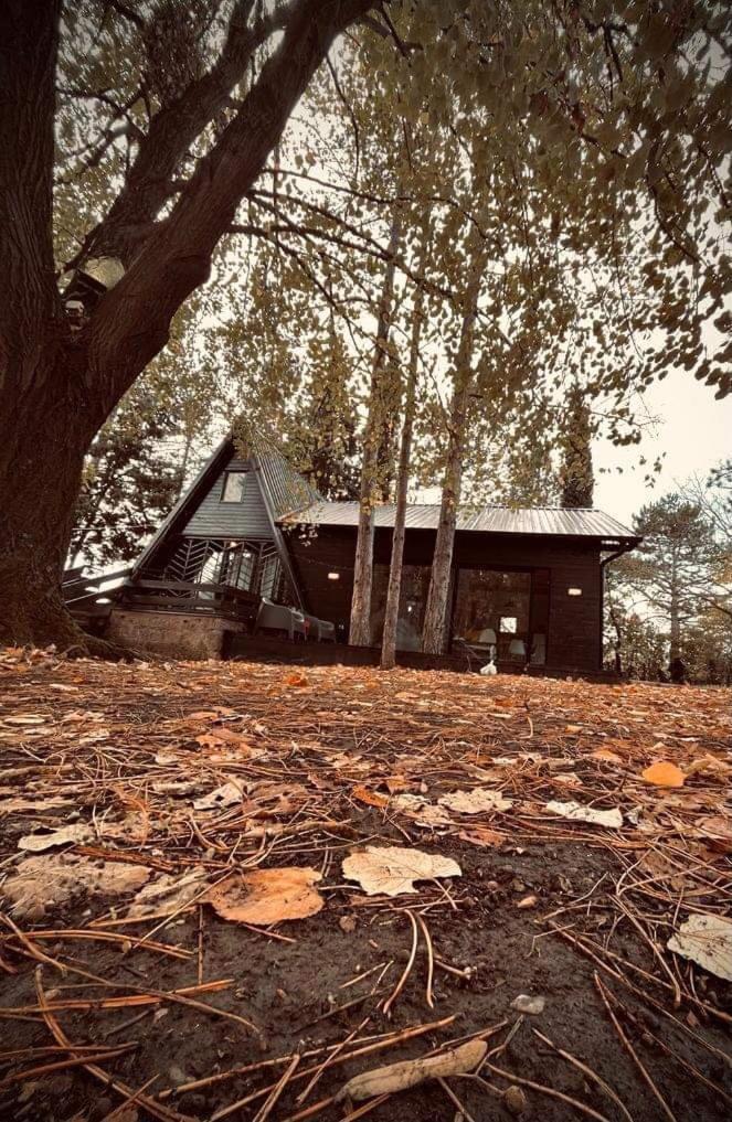 Vila Kuca Za Odmor Vrdnik Exteriér fotografie